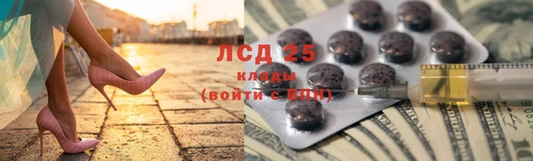 ПСИЛОЦИБИНОВЫЕ ГРИБЫ Алексин